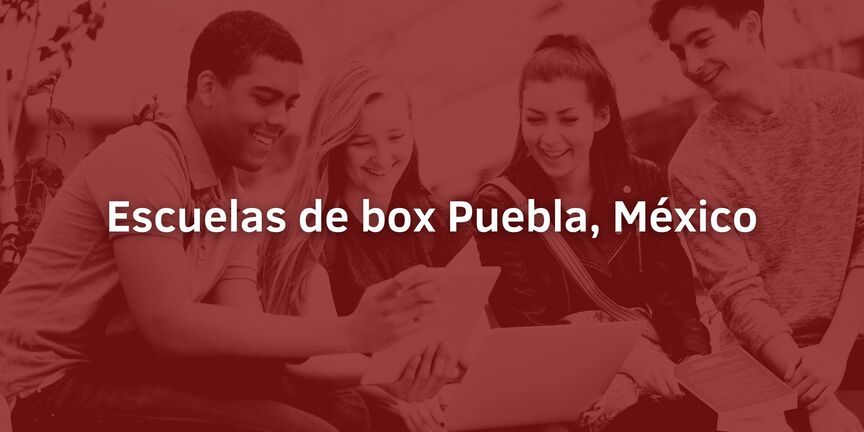 Escuelas-de-box-Puebla-Mexico