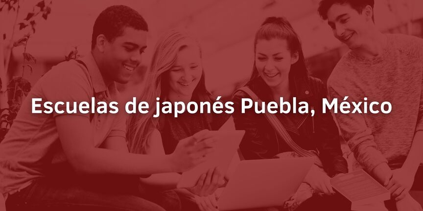 Escuelas-de-japones-Puebla-Mexico
