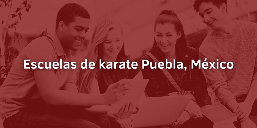 Escuelas-de-karate-Puebla-Mexico