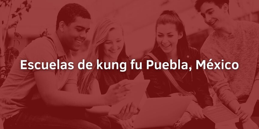 Escuelas-de-kung-fu-Puebla-Mexico