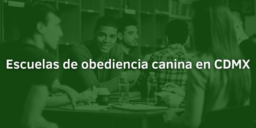 Escuelas-de-obediencia-canina-en-CDMX