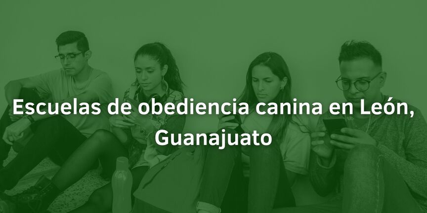 Escuelas-de-obediencia-canina-en-Leon-Guanajuato