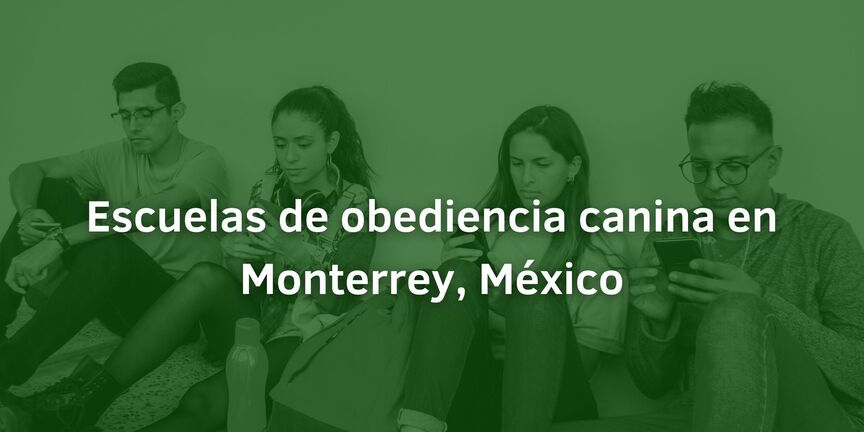 Escuelas-de-obediencia-canina-en-Monterrey-Mexico