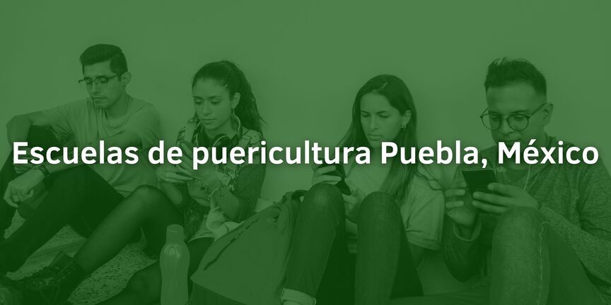 Escuelas-de-puericultura-Puebla-Mexico