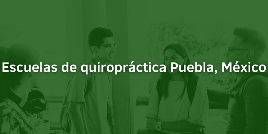 Escuelas-de-quiropractica-Puebla-Mexico