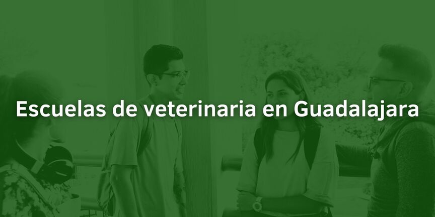 Escuelas-de-veterinaria-en-Guadalajara